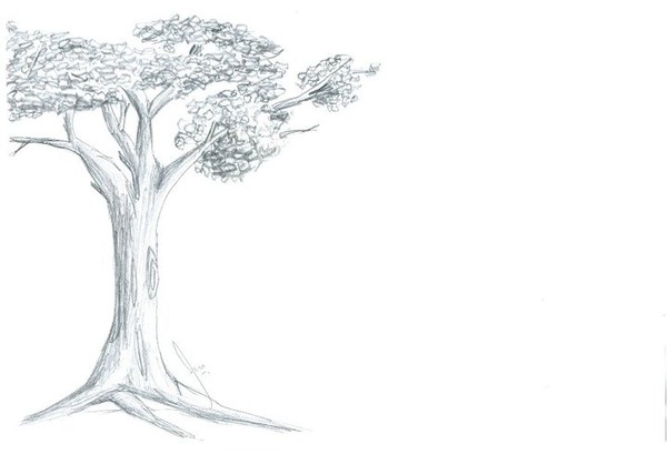 imaginary tree