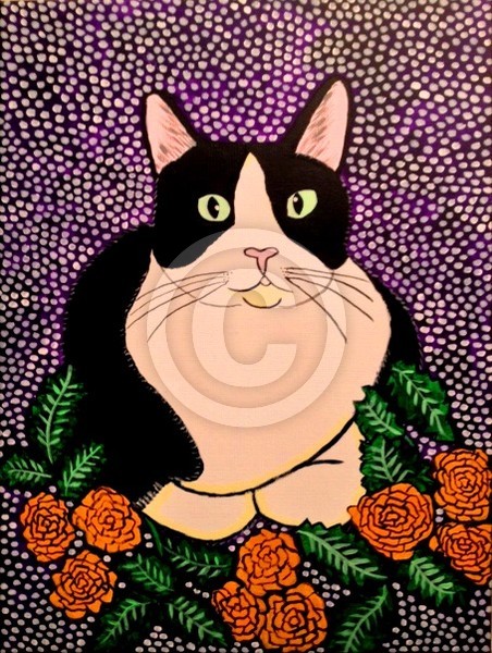 Tuxedo cat
