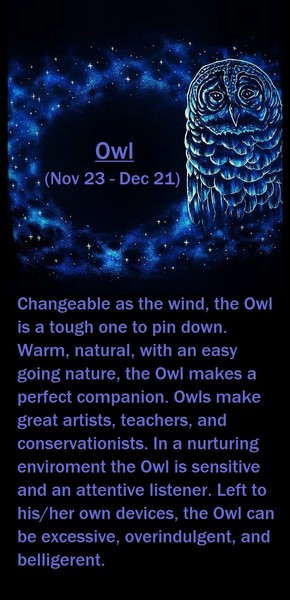 Native American Zodiac Sign, (Owl)