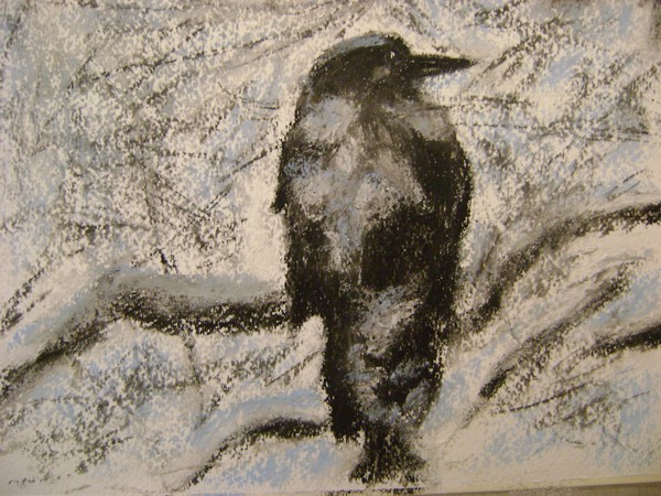 crow sold