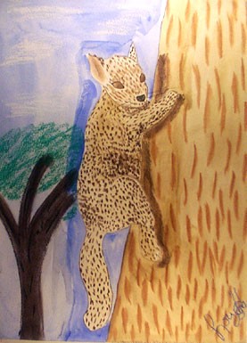 squirrel