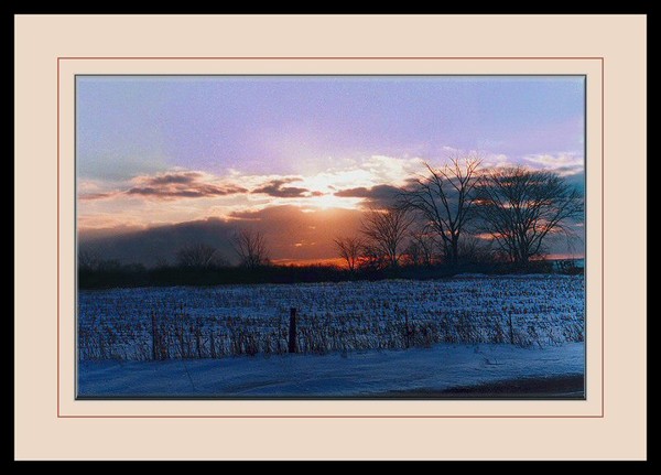 Winter Evening Sun