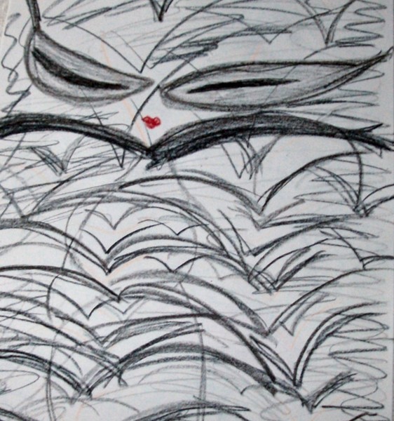 Cat,cottan