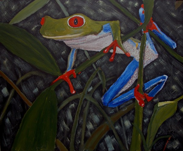Red Toed Frog