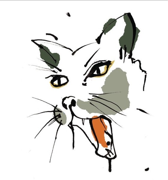 This is the cat that killed the rat.....