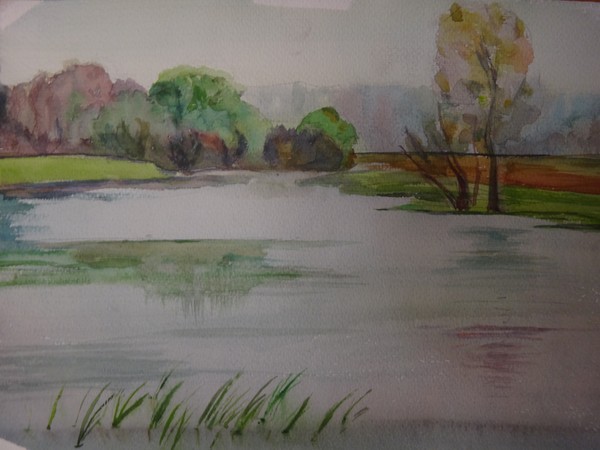 Pond