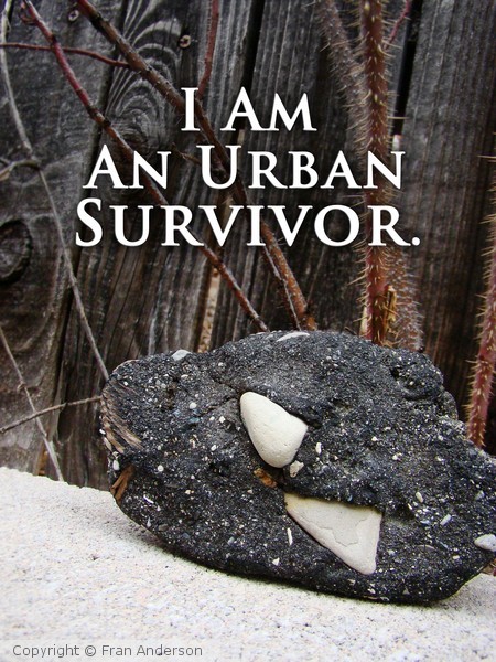 Urban Survivor