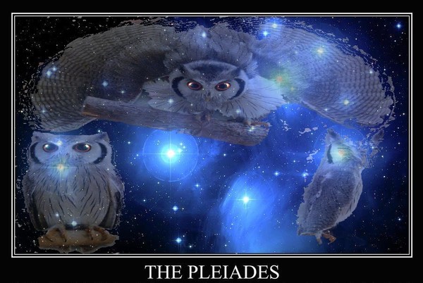 PLEIADES11