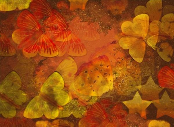 Abstract Butterfly 2