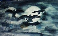 The birds