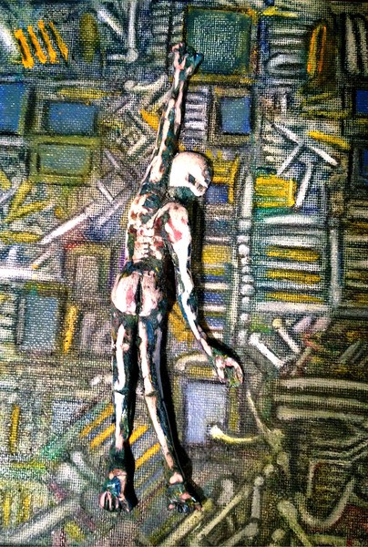 swimmer