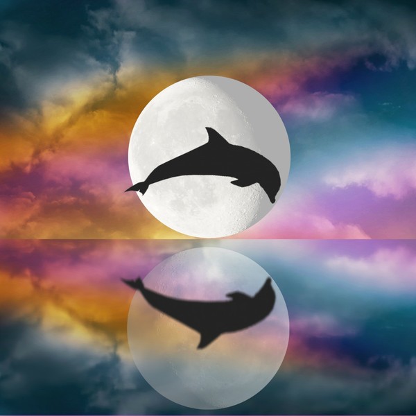 Dolphiin Moon