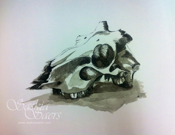 Still life 8 indian ink