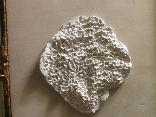 Shapeless  white relief