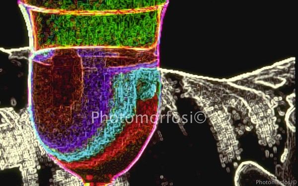 Photomorfosi©1994 - Serie Il calice-4
