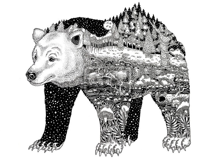 Polar Bear Wilderness