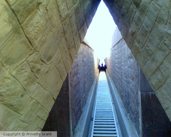 Come On Up