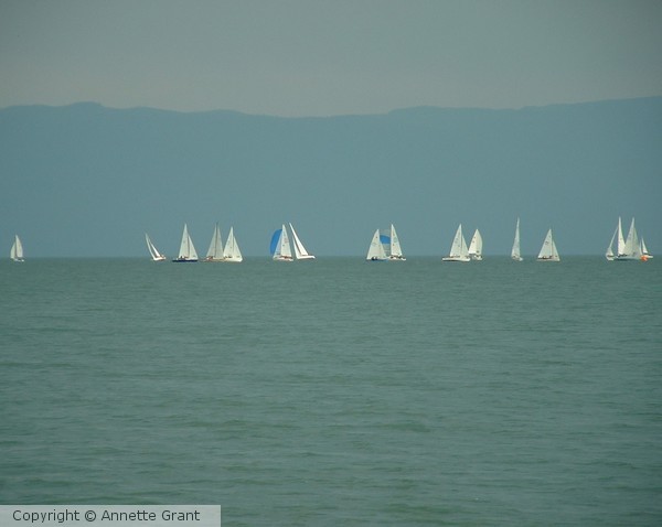 Sailboat Races at Flathead Lake