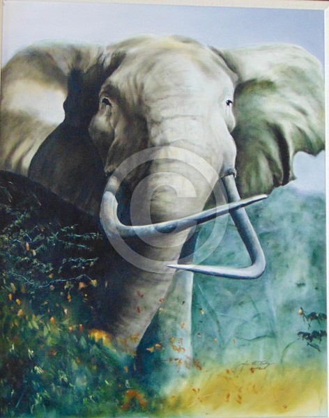 Charging Elephant