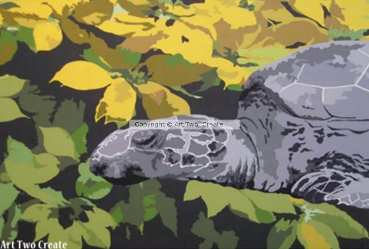 Turtle Resting.