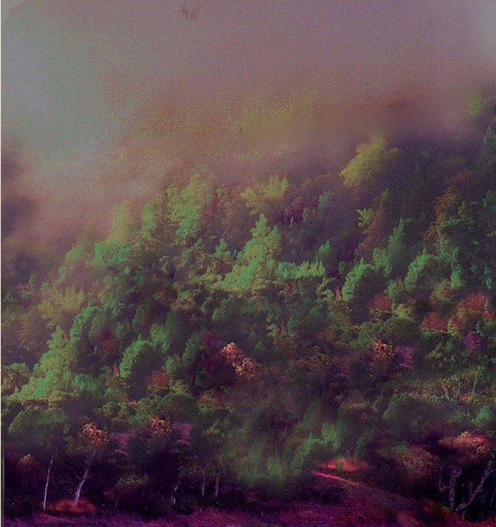 santa cruz mountains