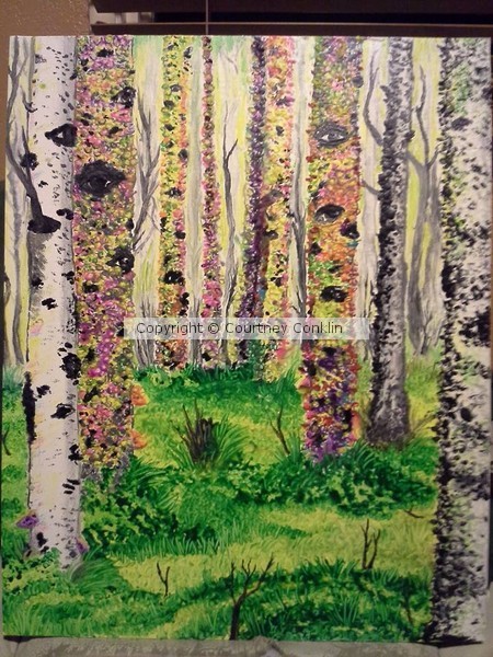 Aspen Forest