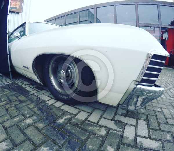 White SS