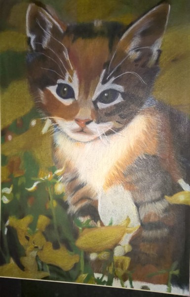 Kitty in a Meadow