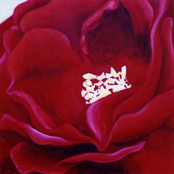 Racey Rose