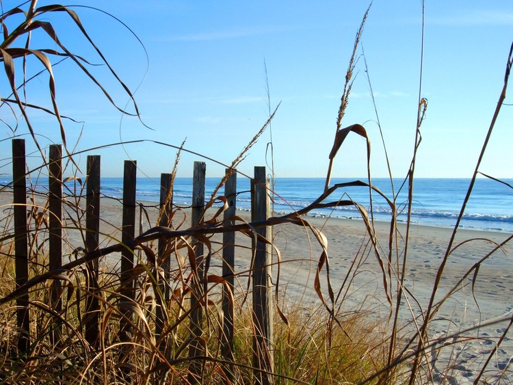 Beach Fence