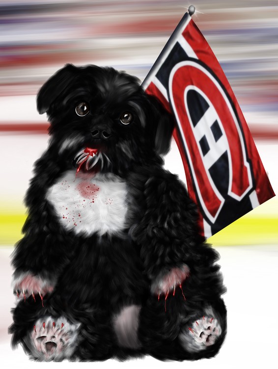 Go Habs Go Vicious