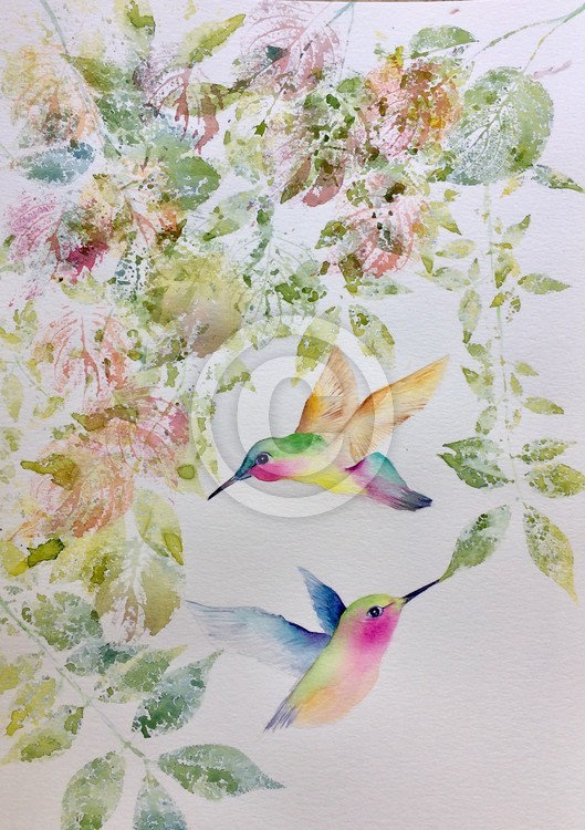 Hummingbird 