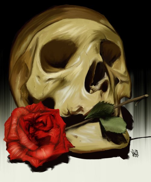 Skull