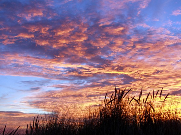 Red Sunset