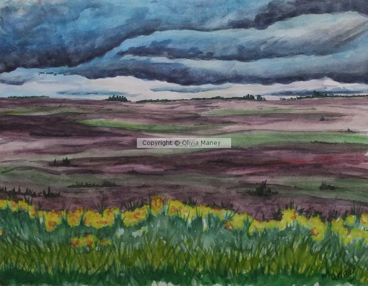 Alfalfa Under Storm Clouds