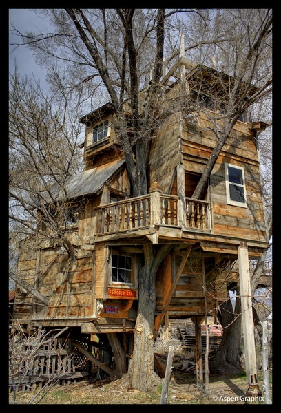 Tree House High-Rise