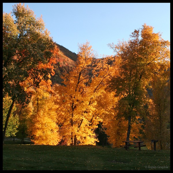 Autumn Picnic