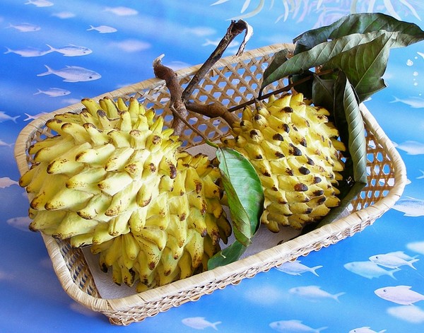 fresh to eat
