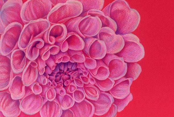Endless Petals