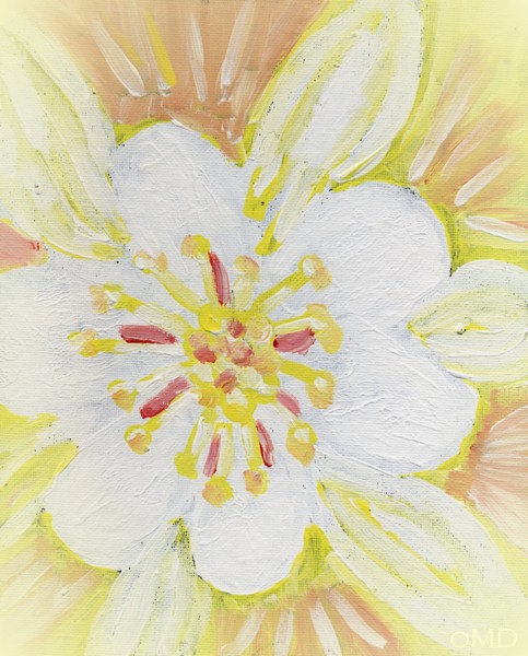 Floral Abstract 2