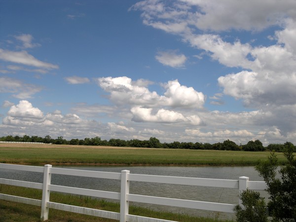 Homestead