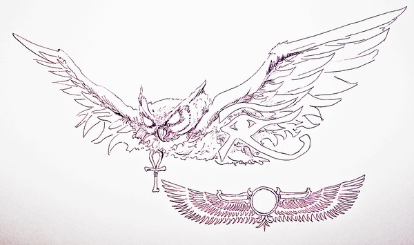 Owl