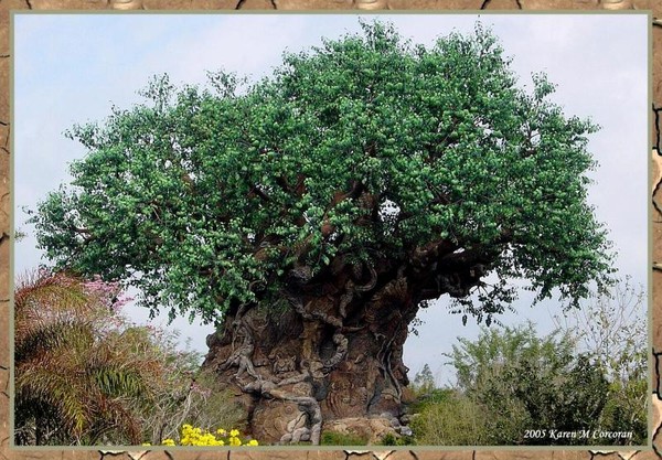 The Tree of Life