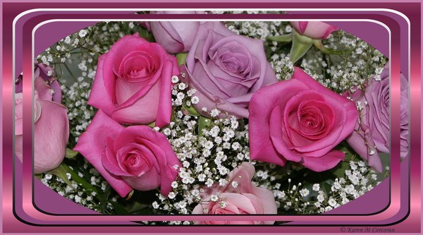 Roses