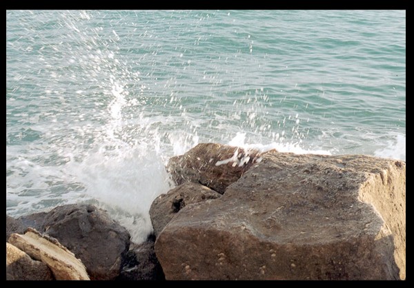 splash 1