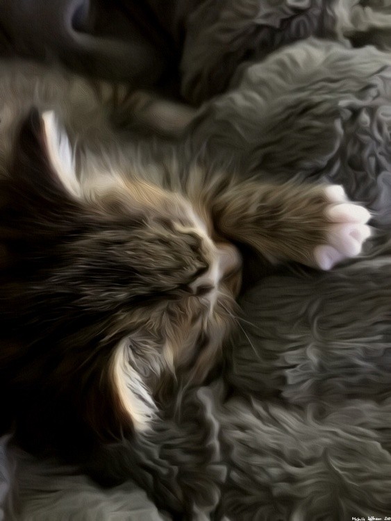 Sleeping Baby