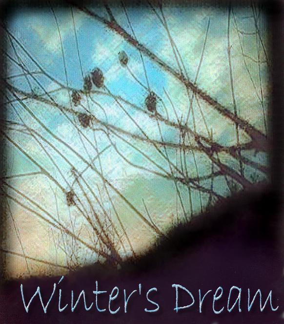 Winter's Dream