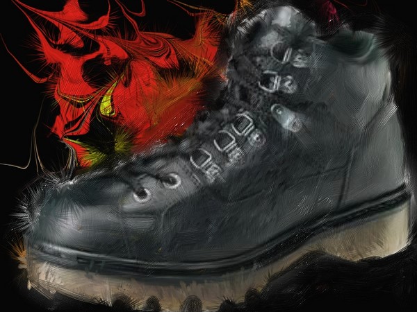 Shoe