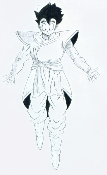 Gohan-kai outfit by leanne sampson 