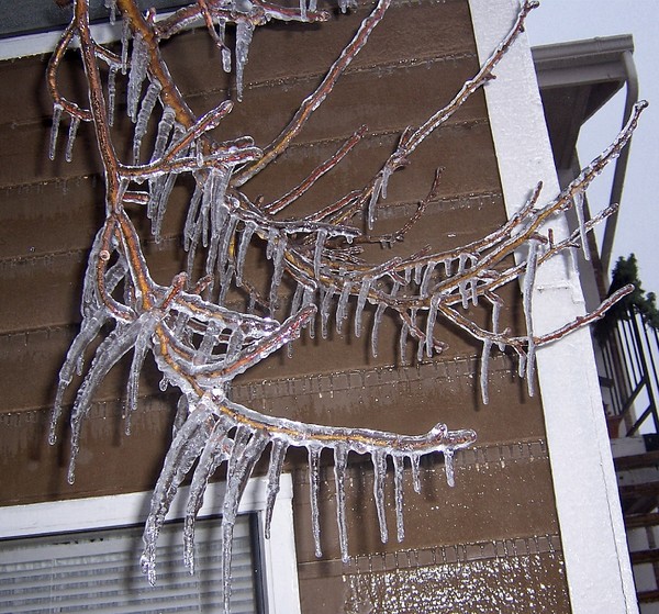 Ice Antlers